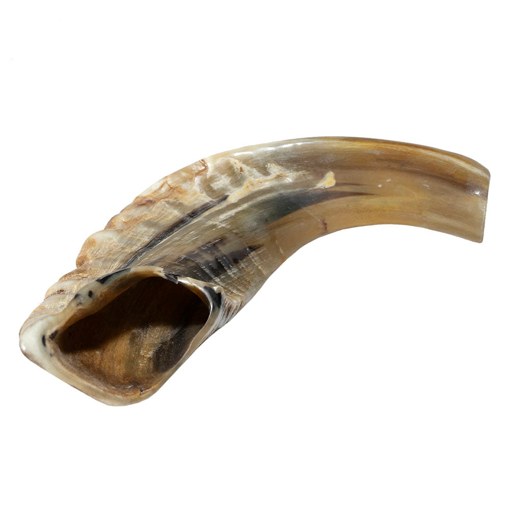 Yemenite Shofar