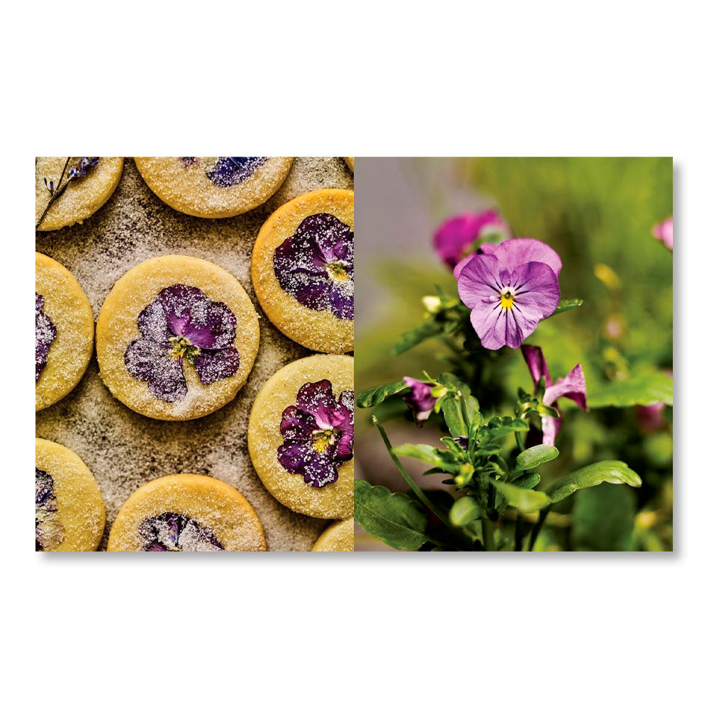The Side Gardener: Recipes & Notes from My Garden
