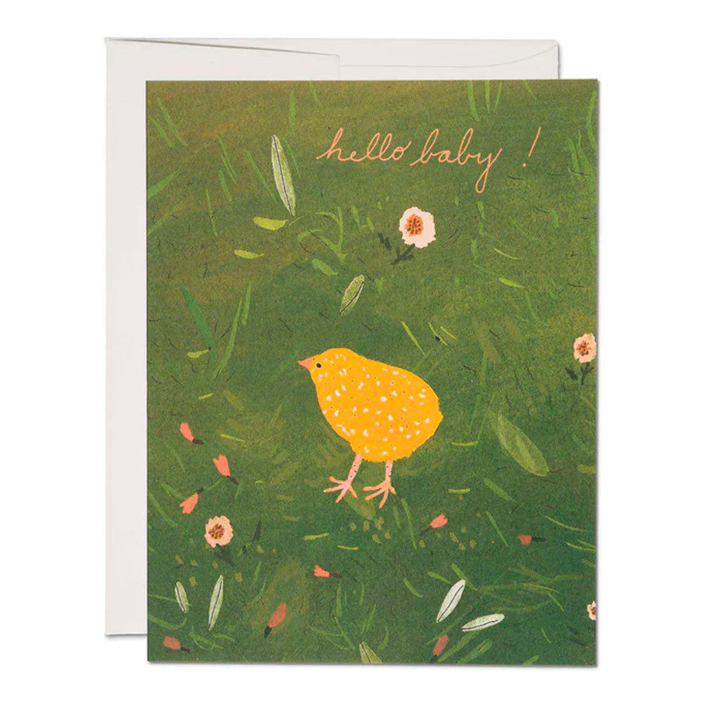 Baby Chick Greeting Card