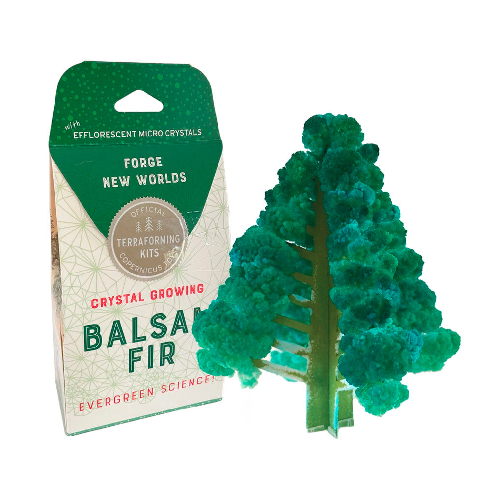 Crystal Growing Balsam Fir