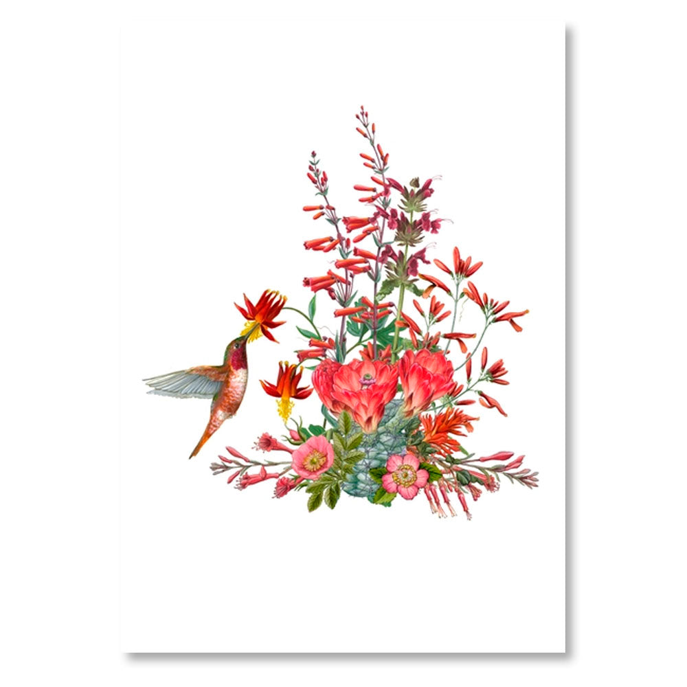 Erin E. Hunter: Pollinators Boxed Notecard Assortment