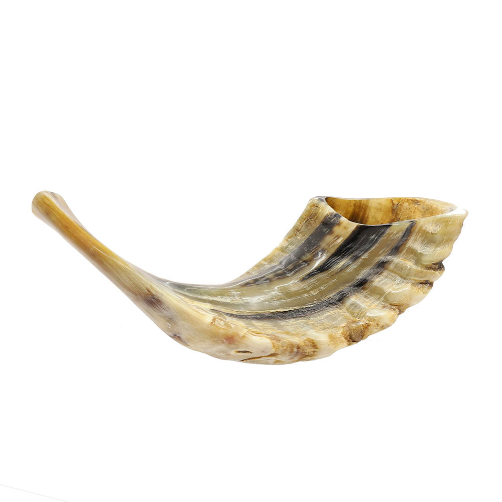 Yemenite Shofar