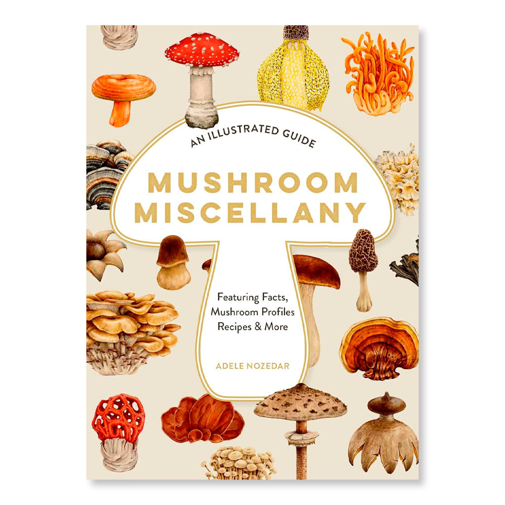 Mushroom Miscellany: An Illustrated Guide