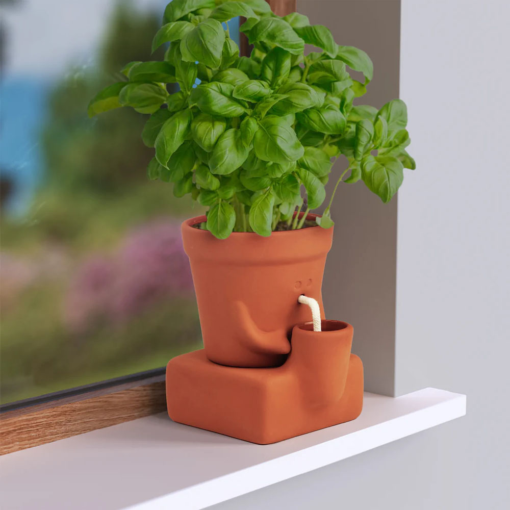 Thirsty Planter