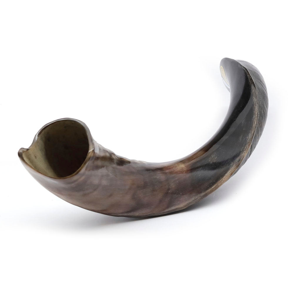 Yemenite Shofar