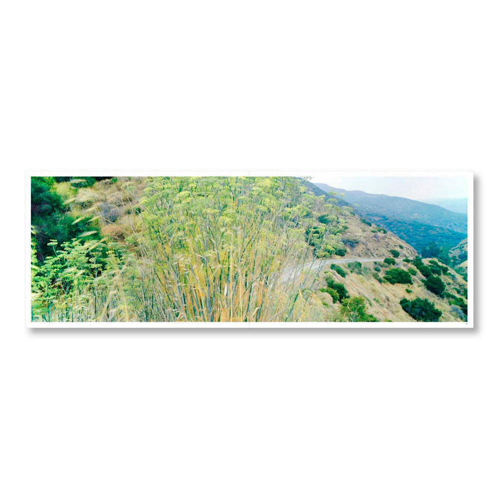 Karen Halverson: Mulholland