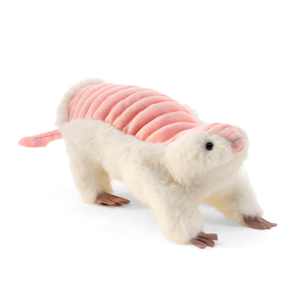Pink Fairy Armadillo