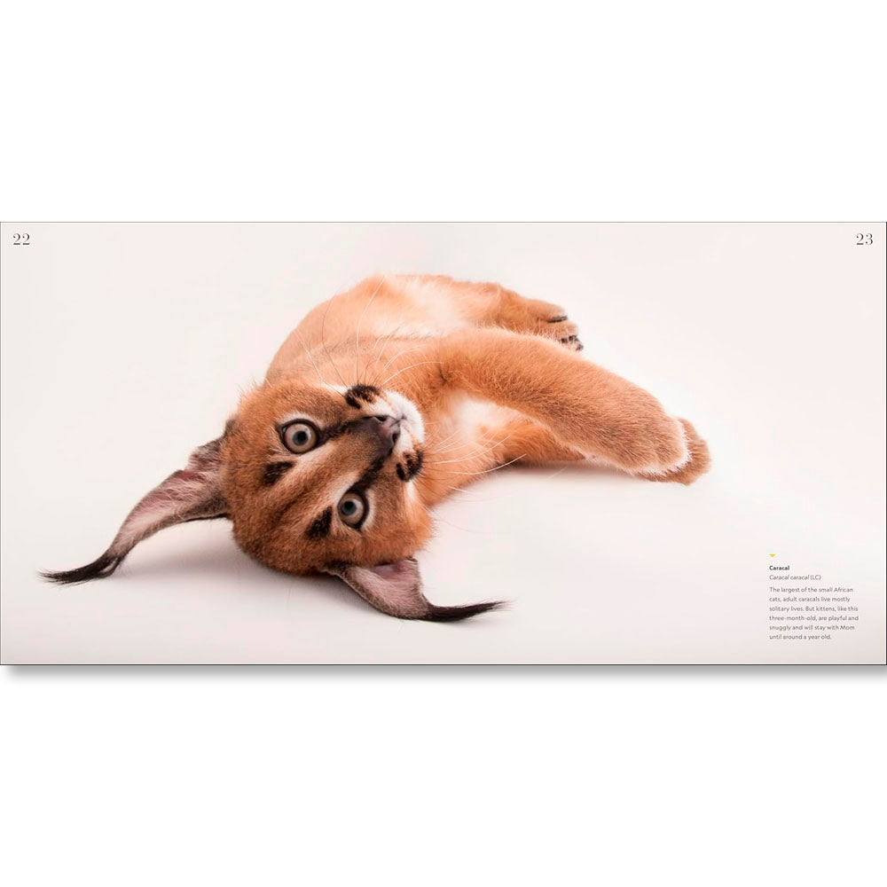 National Geographic Photo Ark Babies: Growing Up in the Animal World