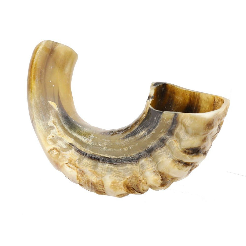 Yemenite Shofar