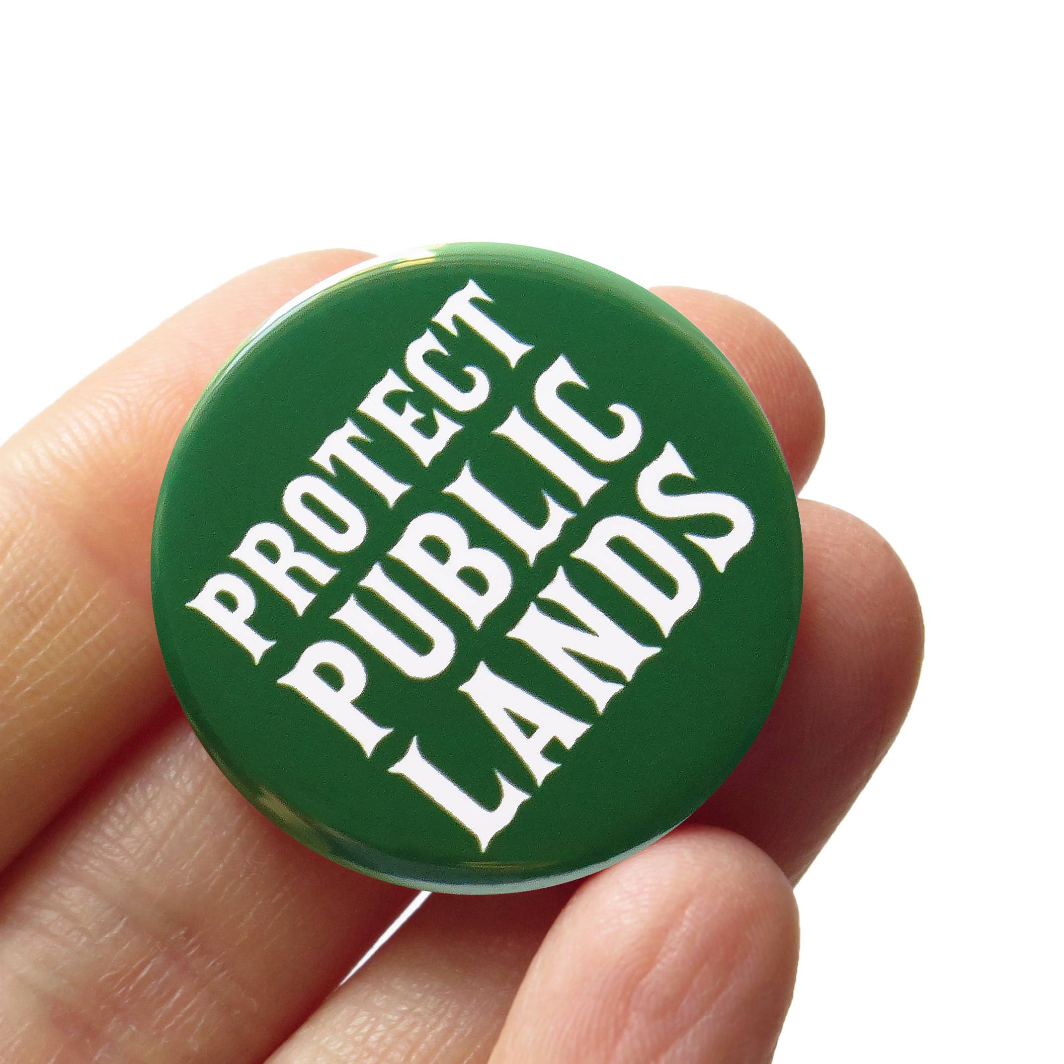 PROTECT PUBLIC LANDS Pin 1.25"