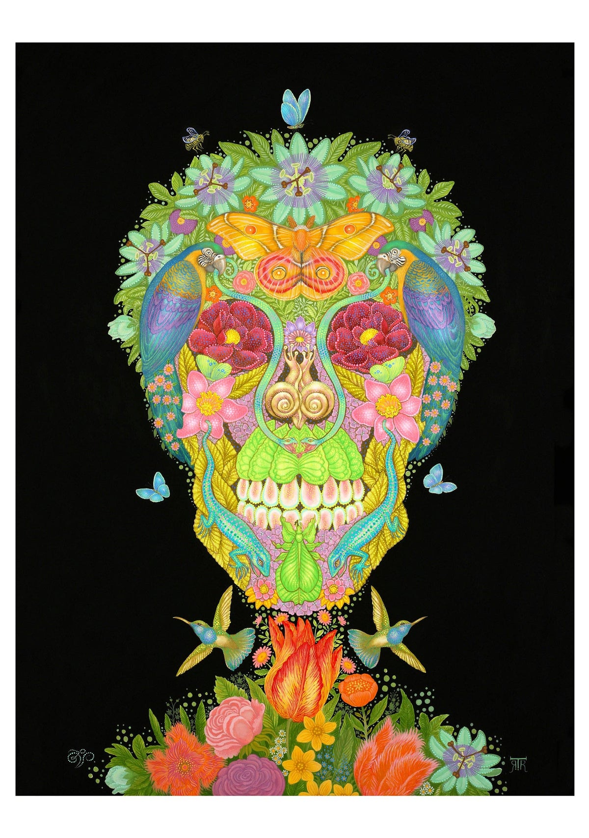 Day of the Dead: Tino Rodriguez & Virgo Paraiso Boxed Notecard Assortment