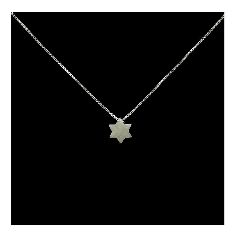 Sterling Silver Micro Star of David Necklace