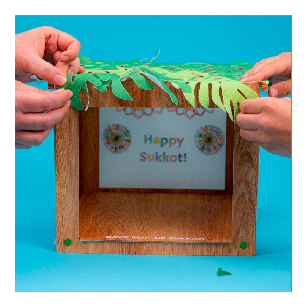 Sukkot in a Box