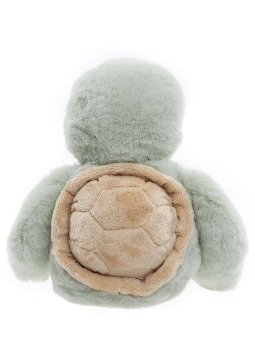 Timmy Tortoise
