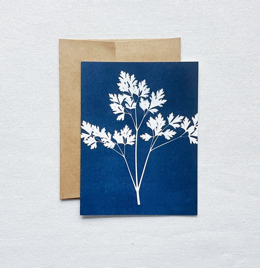 Parsley Botanical Cyanotype Blank Card