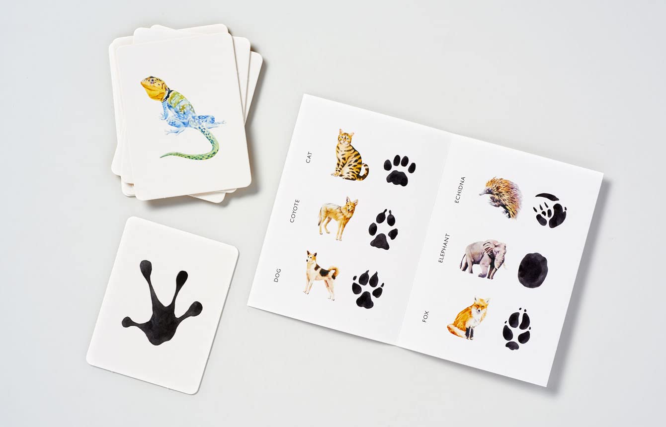 Match a Track: Match 25 Animals to Their Paw Prints