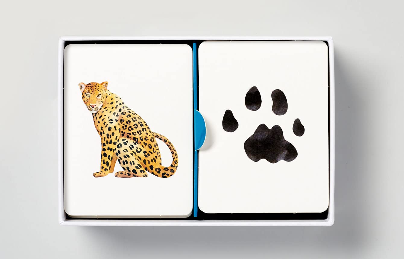 Match a Track: Match 25 Animals to Their Paw Prints