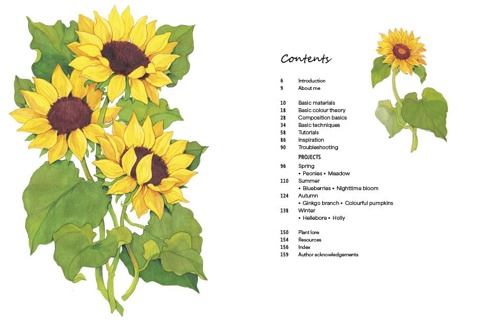 Rewild Your Drawing: How to draw botanicals