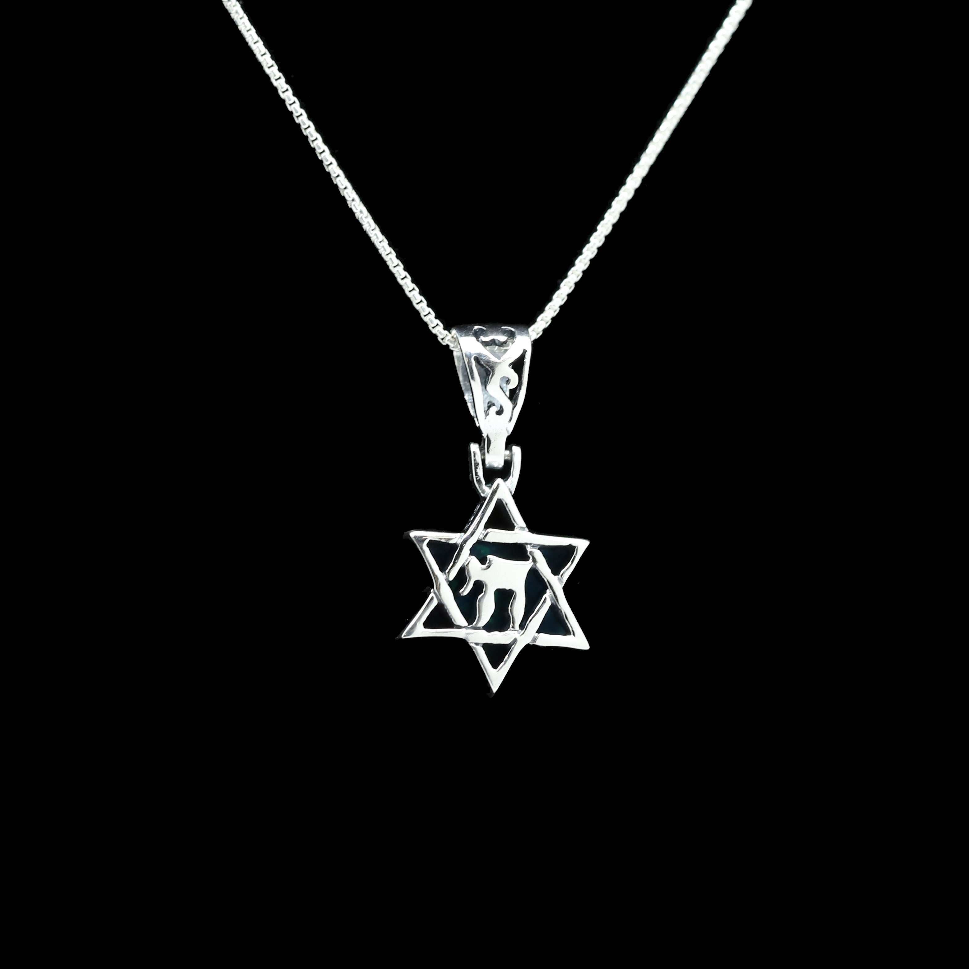 Double Sided Star of David and Chai Necklace