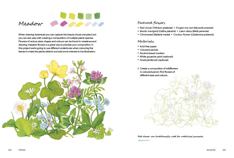 Rewild Your Drawing: How to draw botanicals