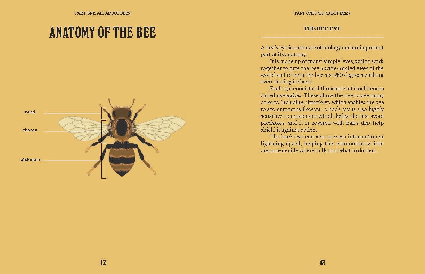 Bees: A Guide for the Curious