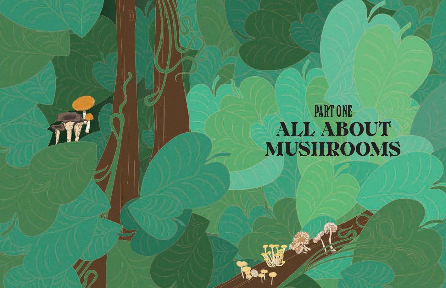 Mushrooms: A Guide for the Curious