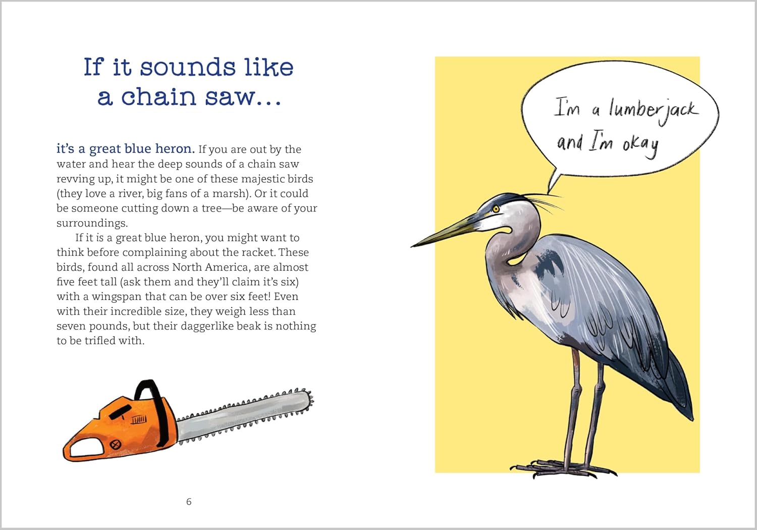 Bird Talk: Hilariously Accurate Ways to Identify Birds by the Sounds They Make