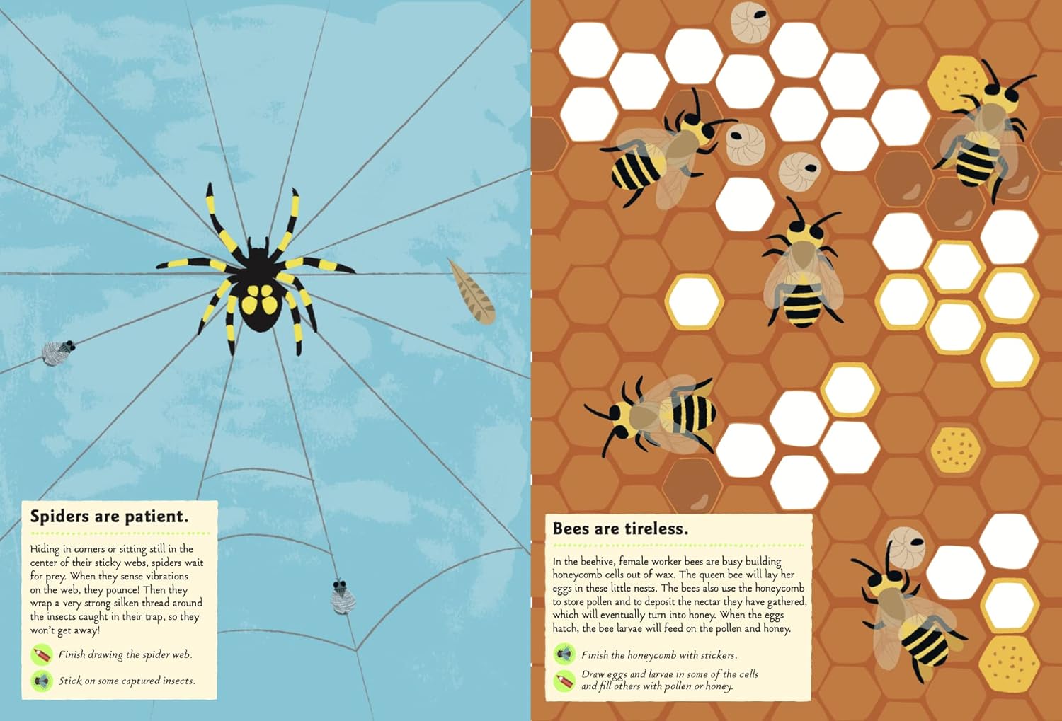 Garden Insects and Bugs: My Nature Sticker Activity Book