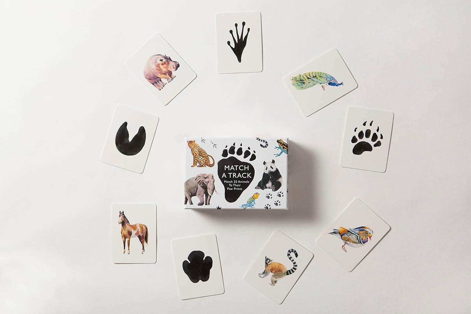 Match a Track: Match 25 Animals to Their Paw Prints