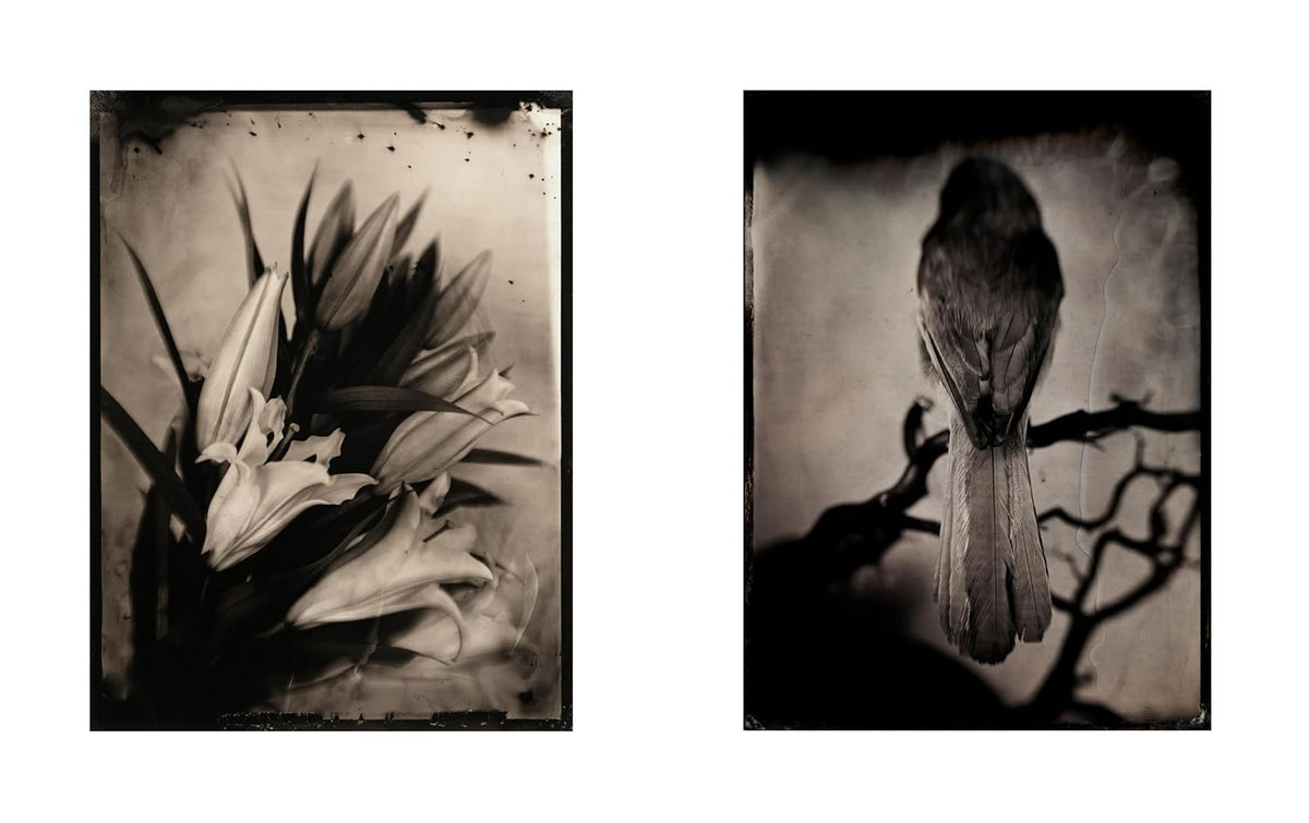 Lara Porzak: The Chemistry of Memory