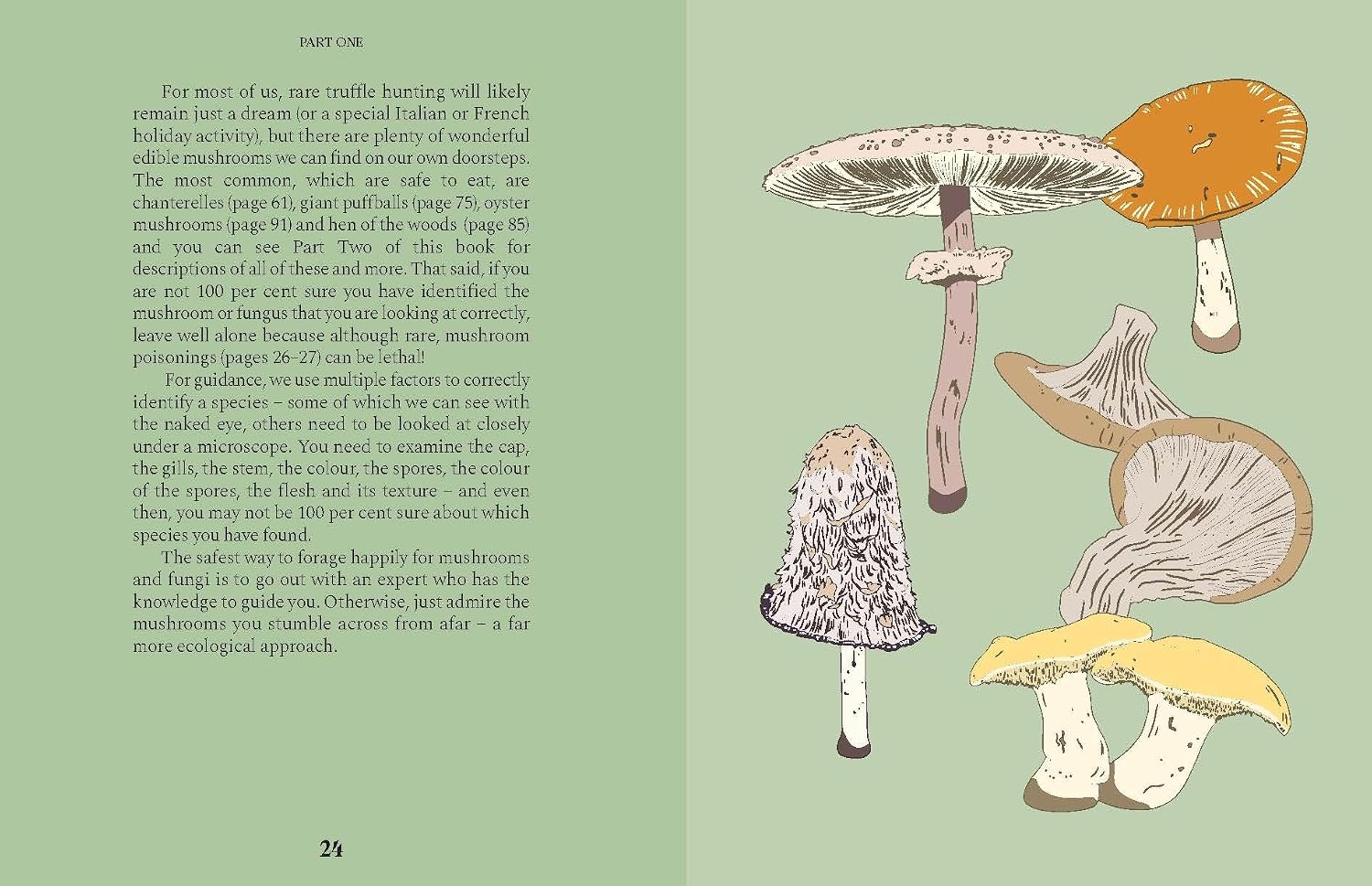 Mushrooms: A Guide for the Curious