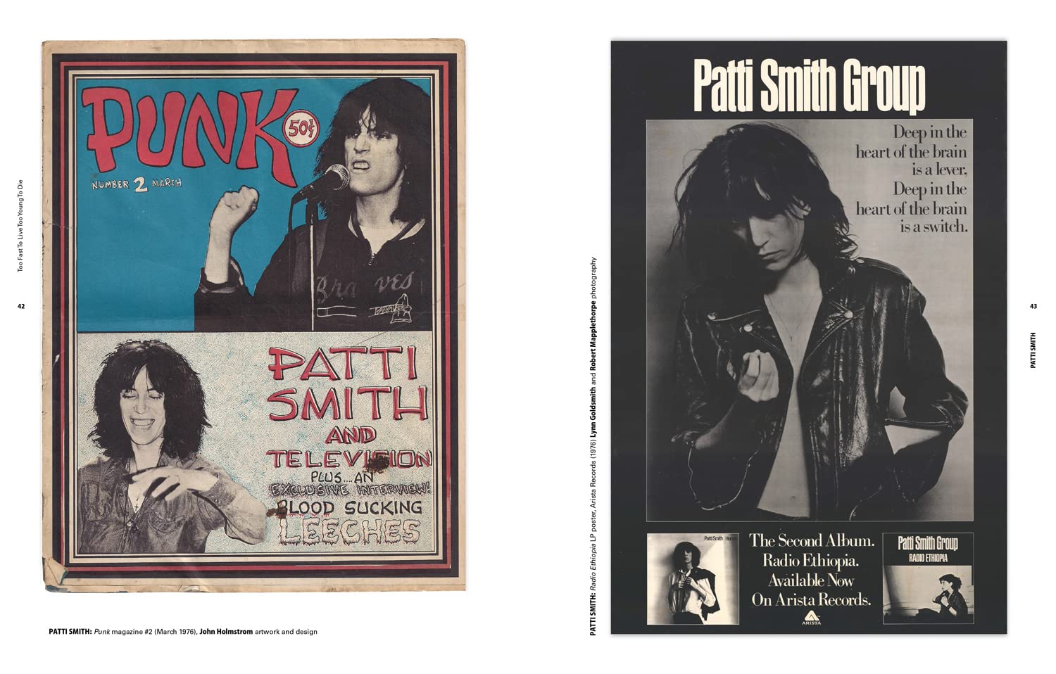 Too Fast to Live Too Young to Die: Punk & post punk graphics 1976-1986