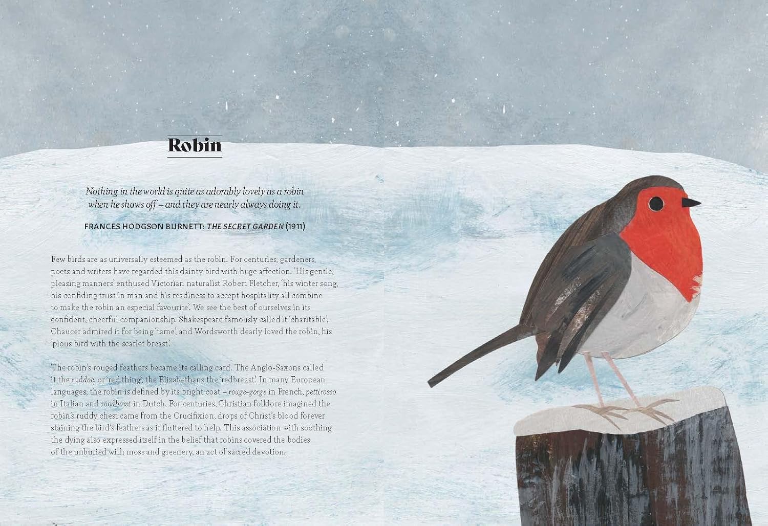 Bird Lore: The Myths, Folklore and Meaning of Birds