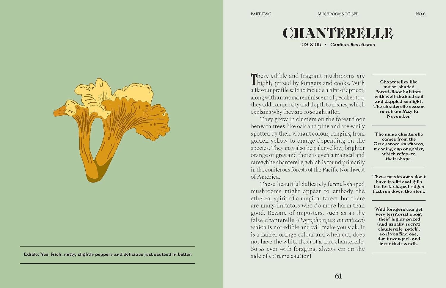 Mushrooms: A Guide for the Curious