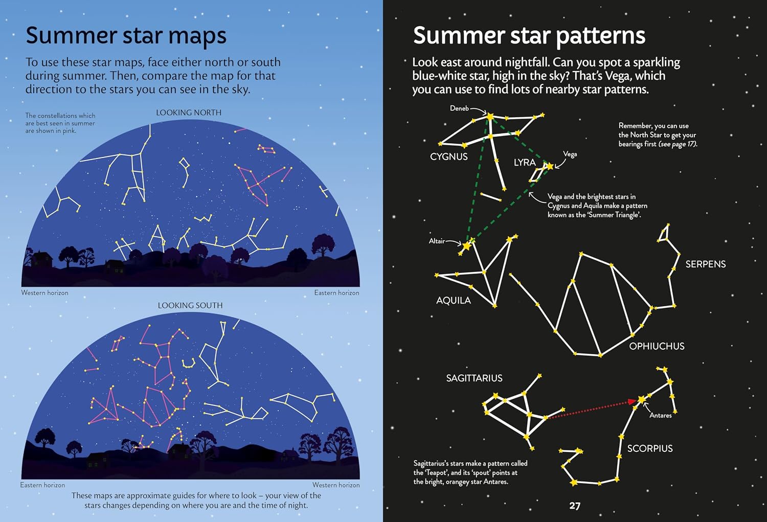 Spotter's Guides: Night Sky
