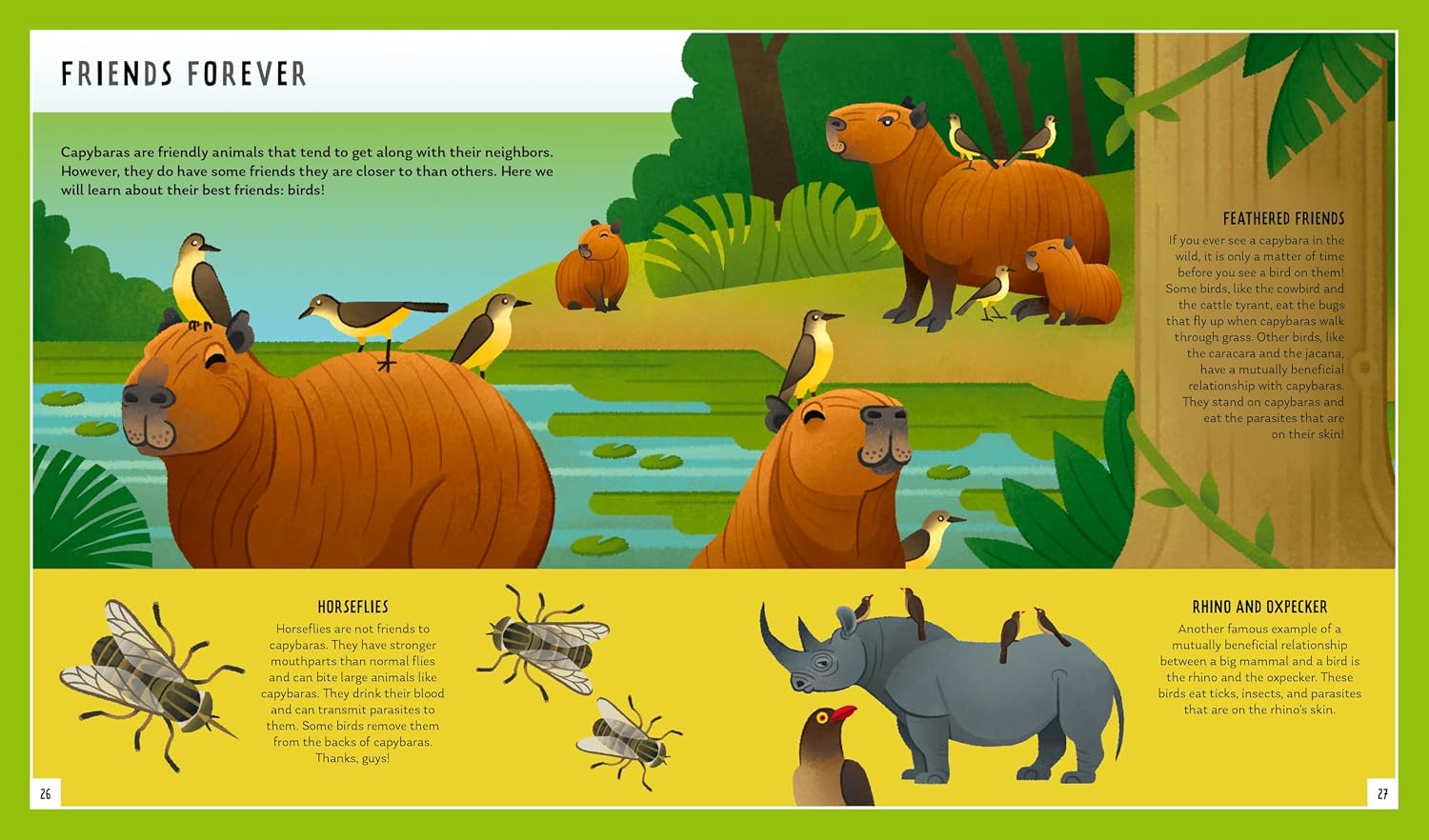 Capybara (Young Zoologist)