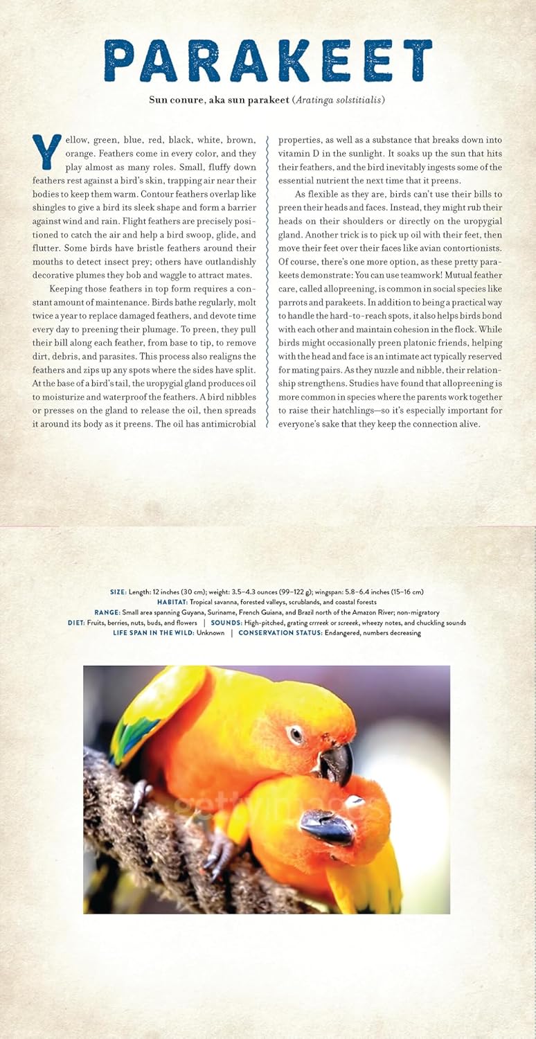 Birds: A Photicular Book