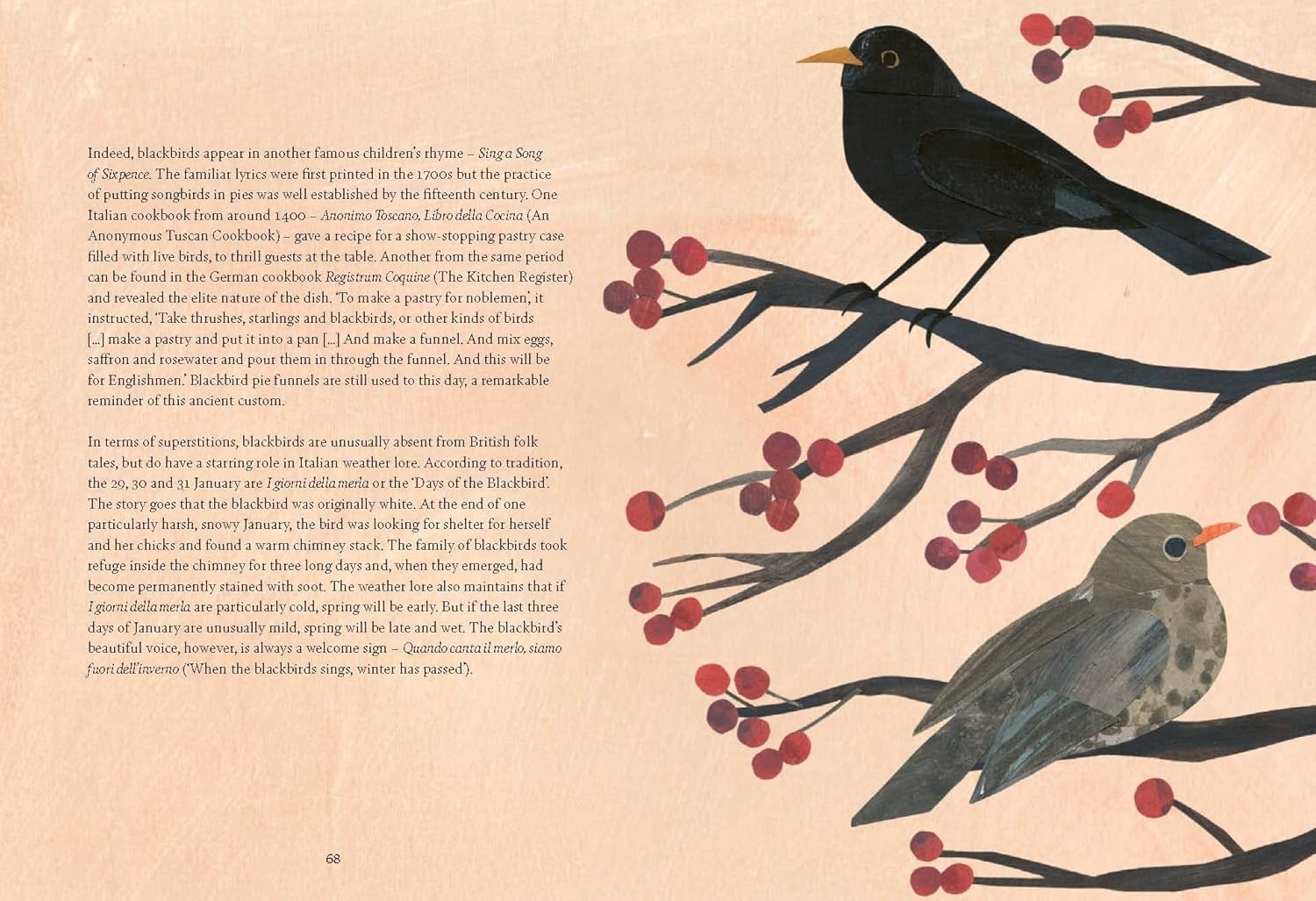 Bird Lore: The Myths, Folklore and Meaning of Birds