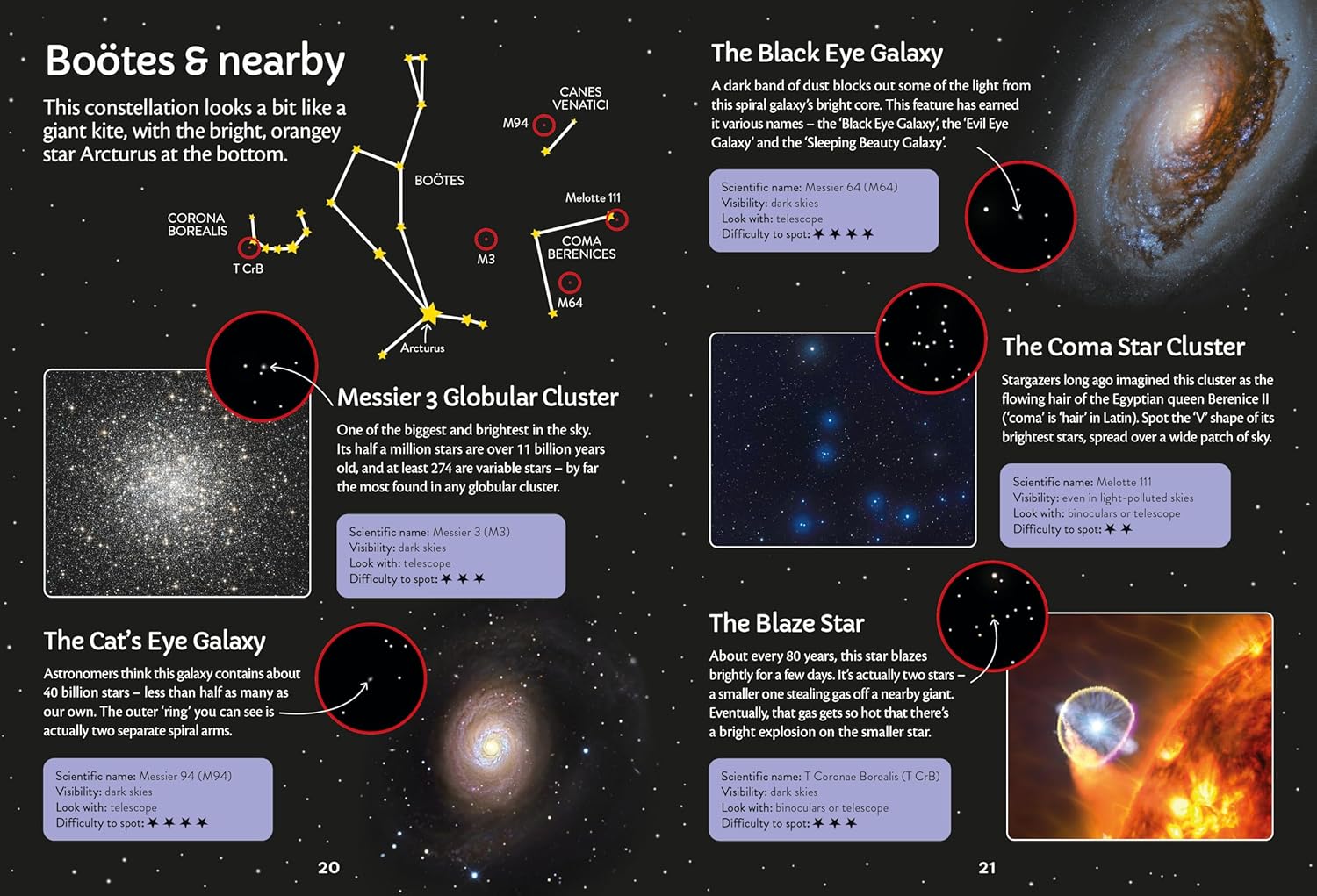 Spotter's Guides: Night Sky