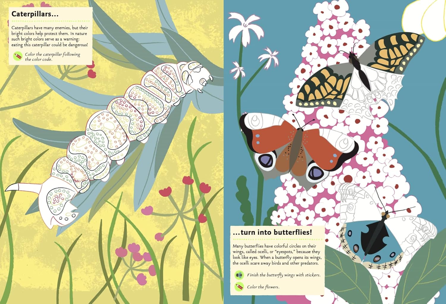 Garden Insects and Bugs: My Nature Sticker Activity Book