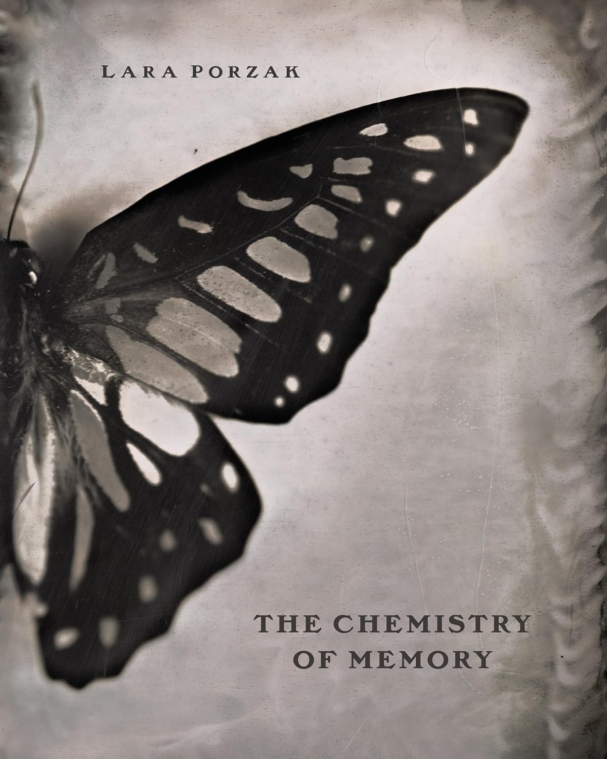 Lara Porzak: The Chemistry of Memory