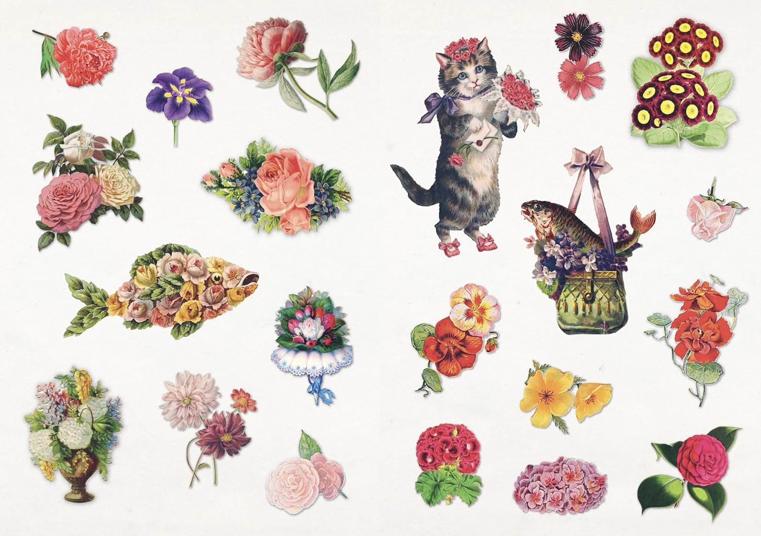 The Curious Collections Sticker Book