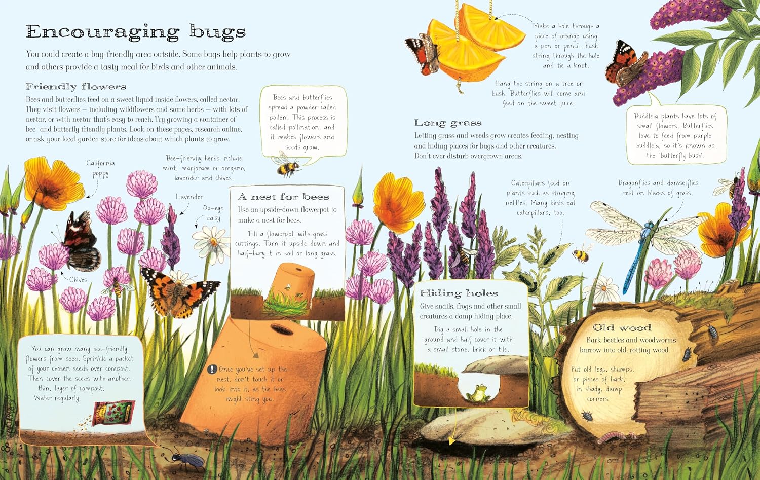 The Usborne Outdoor Book