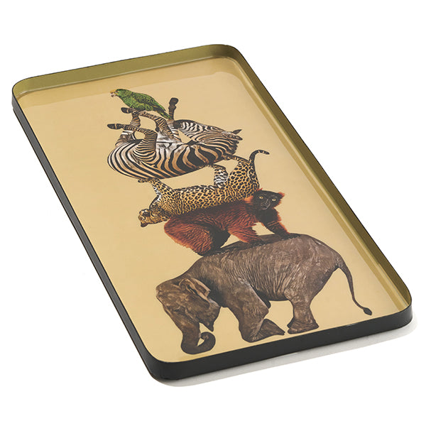 Rectangular Tray