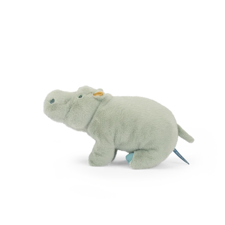 Large Hippopotamus