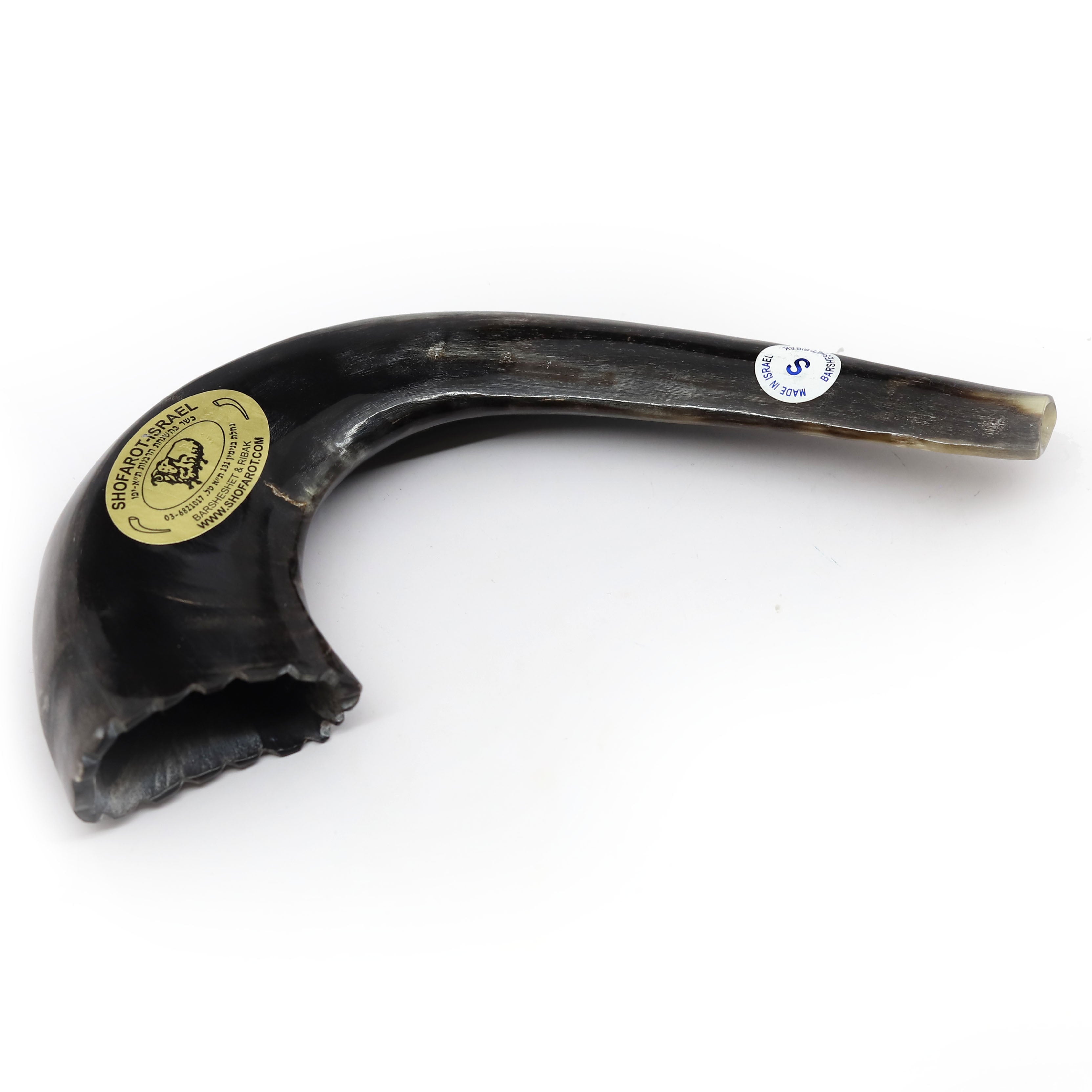 Moroccan Shofar