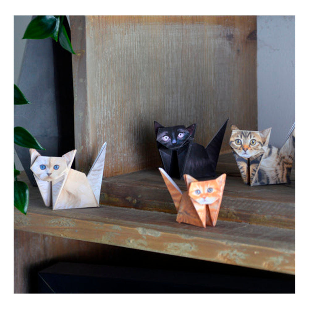 Paper Cats