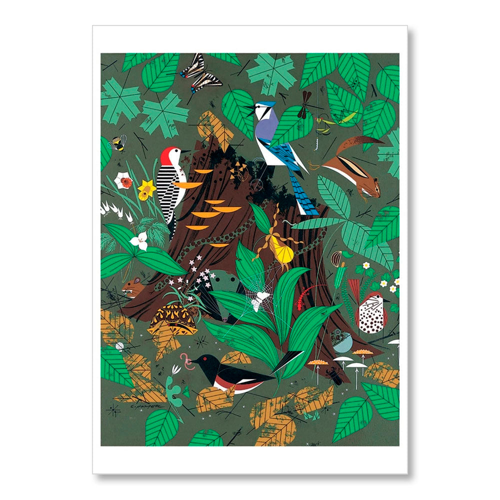 Woodland Wonders Charley Harper Greeting Card