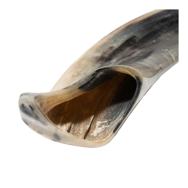 Yemenite Shofar