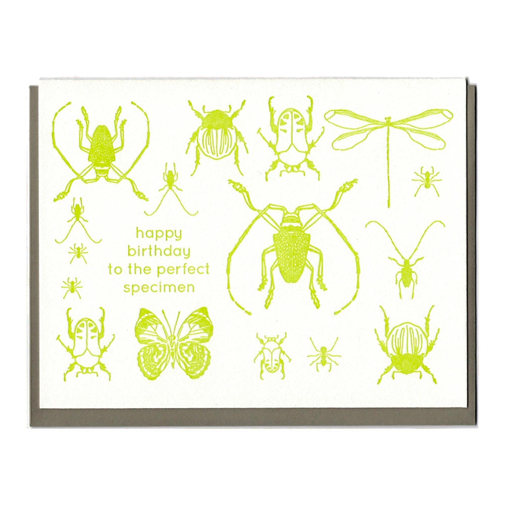 Insects Birthday Card